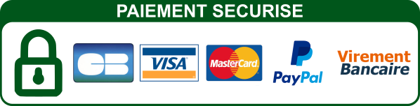 Payment and Security of Transactions